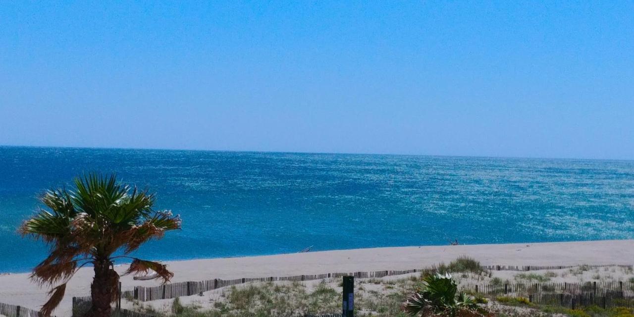 Vue Mer Panoramique Wifi Gratuit Le Barcarès Εξωτερικό φωτογραφία